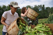 Gleaning MFM