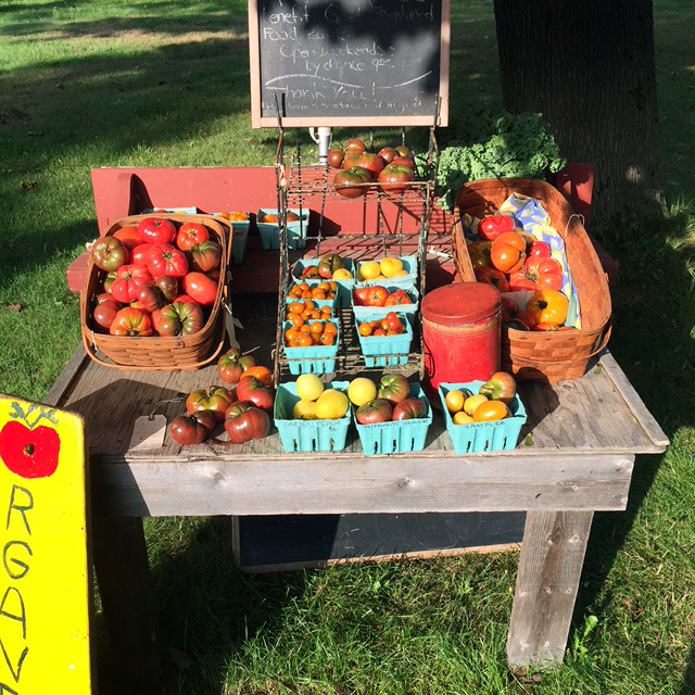 Little farm stand yields big impact for Mainers inset