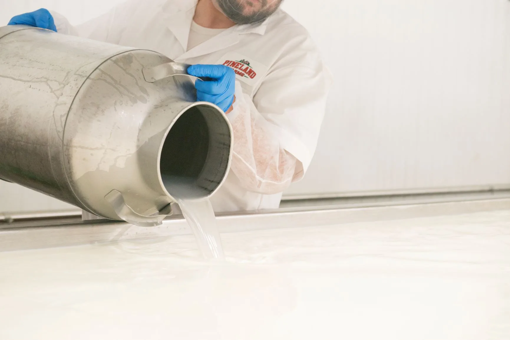 A Pineland Farms employee pours out milk for making cheese.