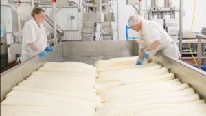 Two employees making cheese at Pineland Farms Dairy.