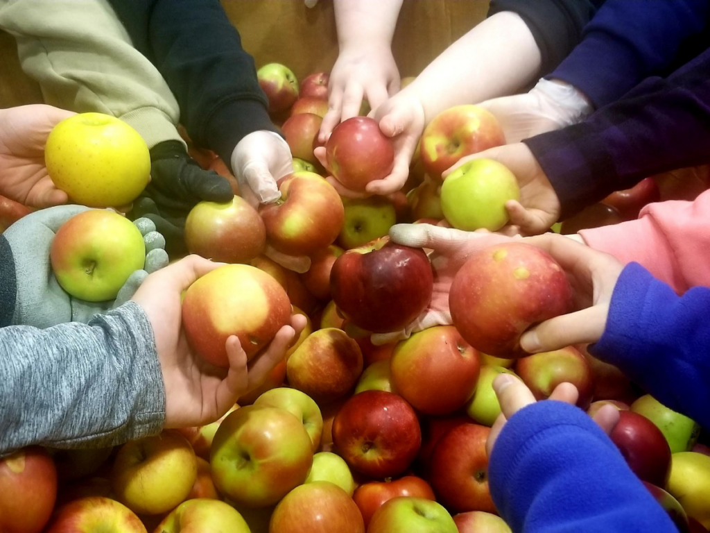 Volunteer hands holding apples at the Food Bank