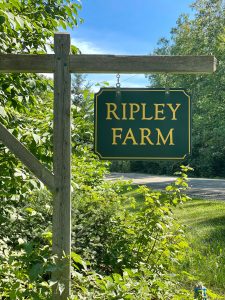 Ripley Farms sign - green with gold writing