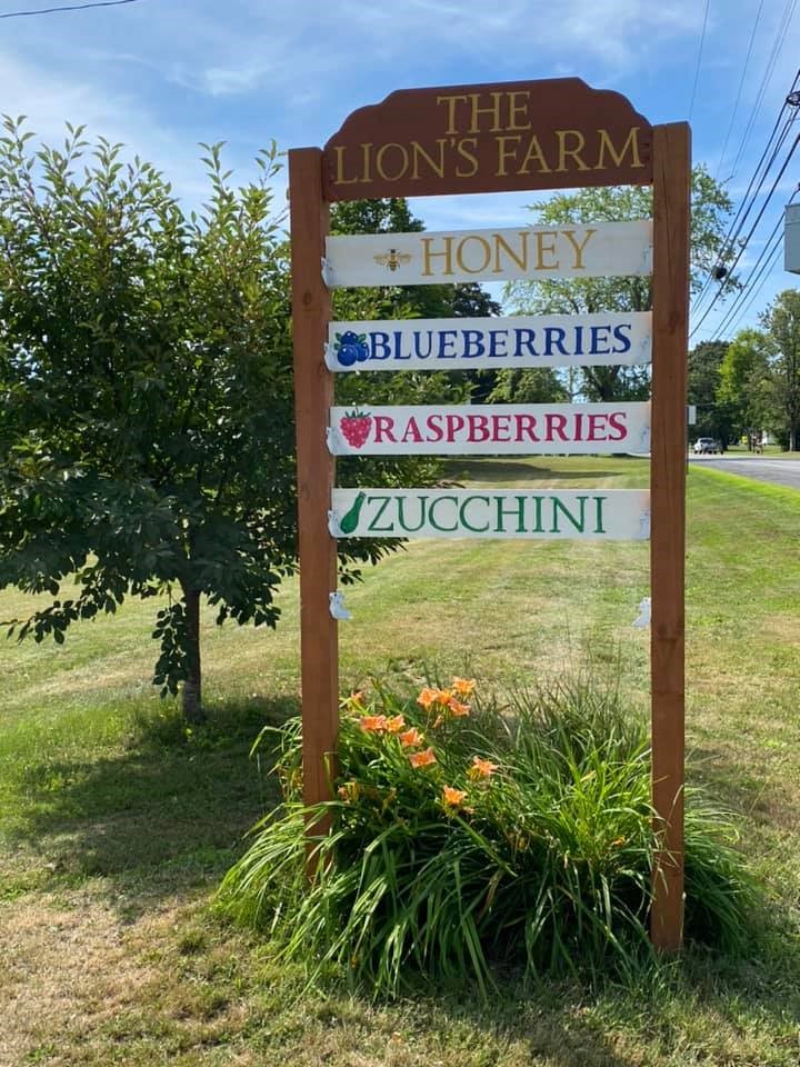 Lions Farm sign - honey, blueberries, raspberries, and zucchini, with orange flowers below