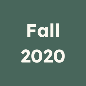 Fall 2020 Icon