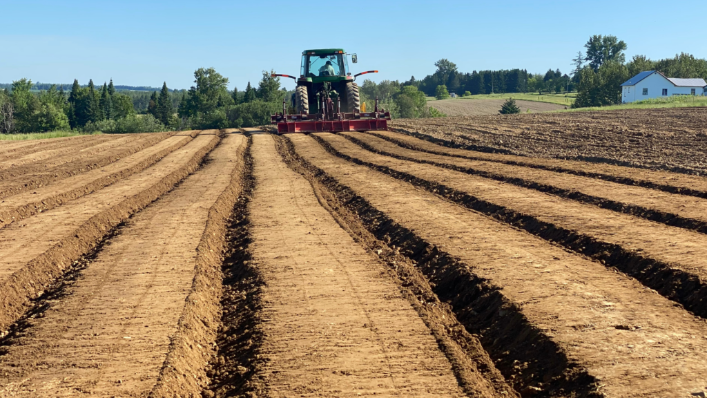 Harvesting Good's field at Circle B Farms - planting broccoli