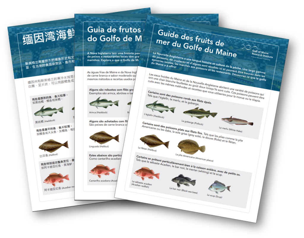 Translated Seafood Guides Good Shepherd Food Bank