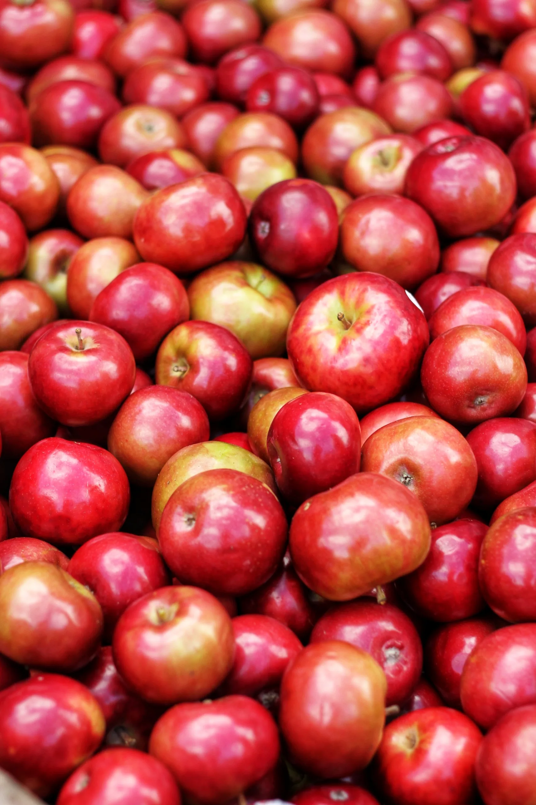Close up of apples