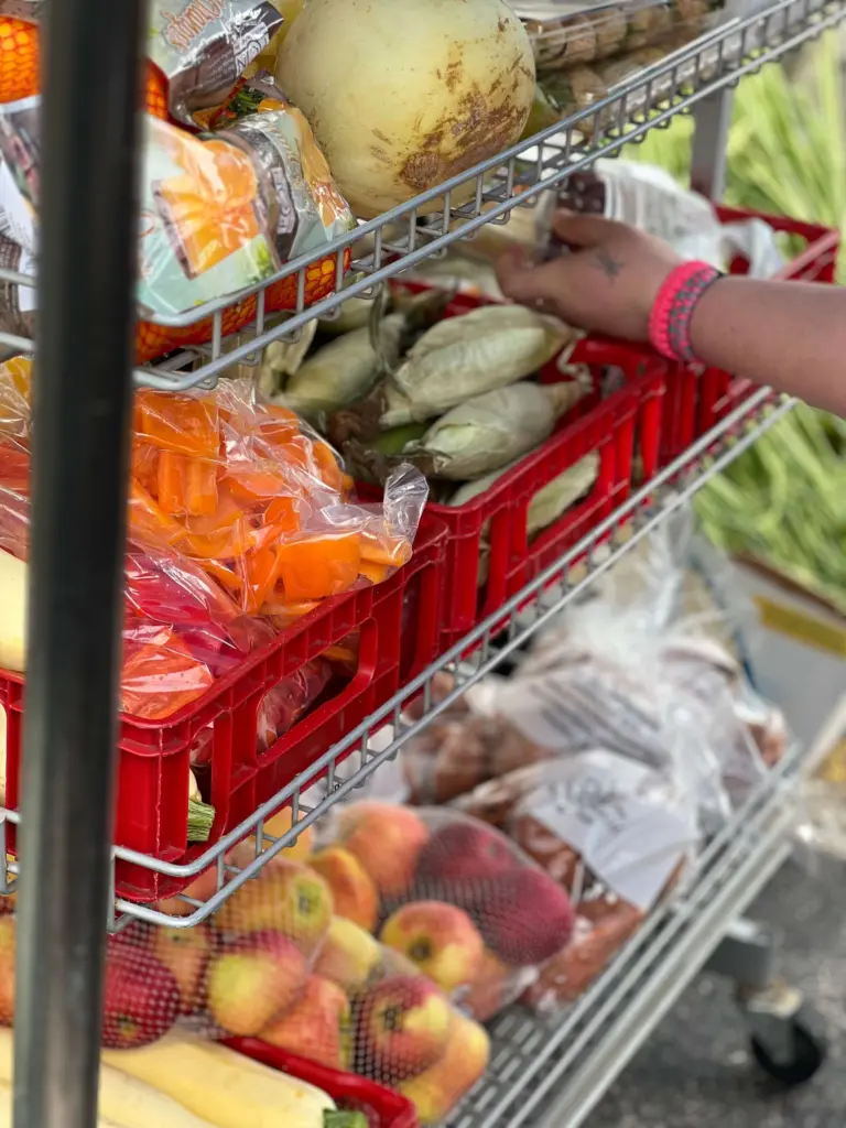 A neighbor selects fresh produce at a partner agency.