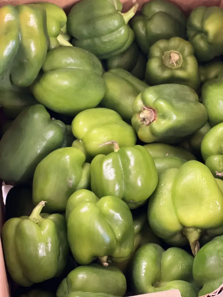 Green Peppers at Harmony Cares Food Pantry