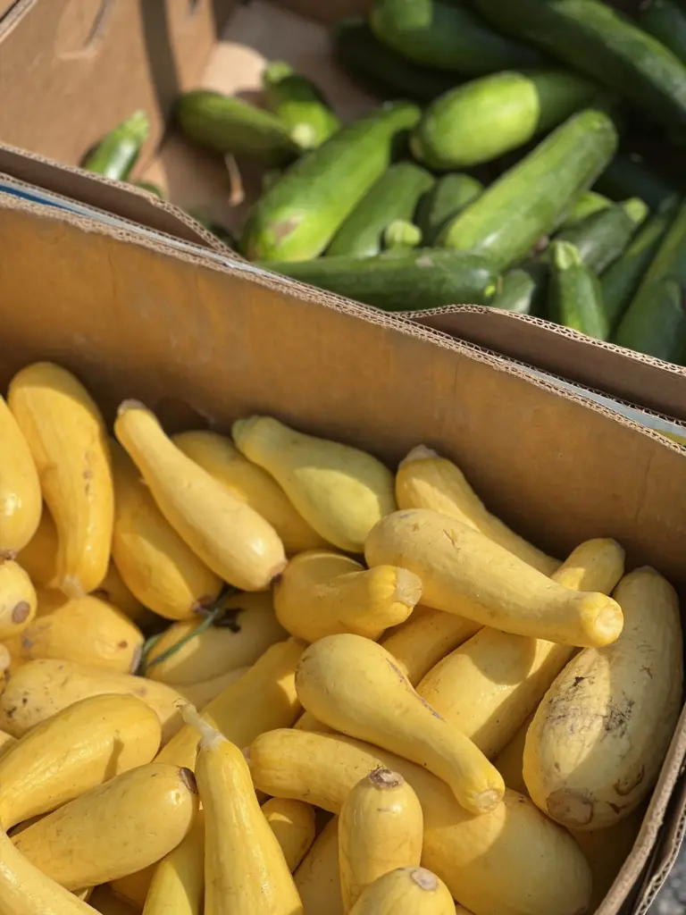 Saco Food Pantry