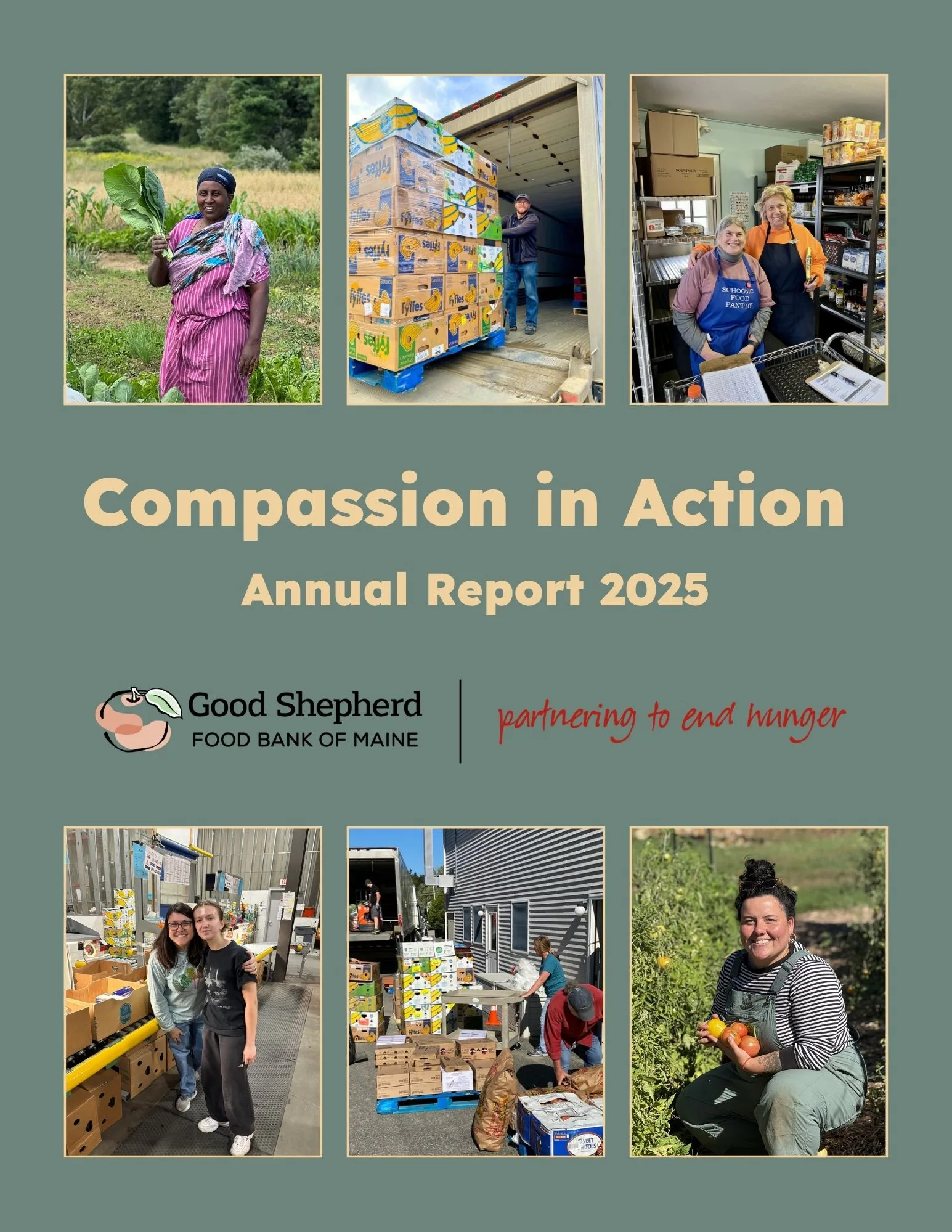 2025 Annual Report Preview