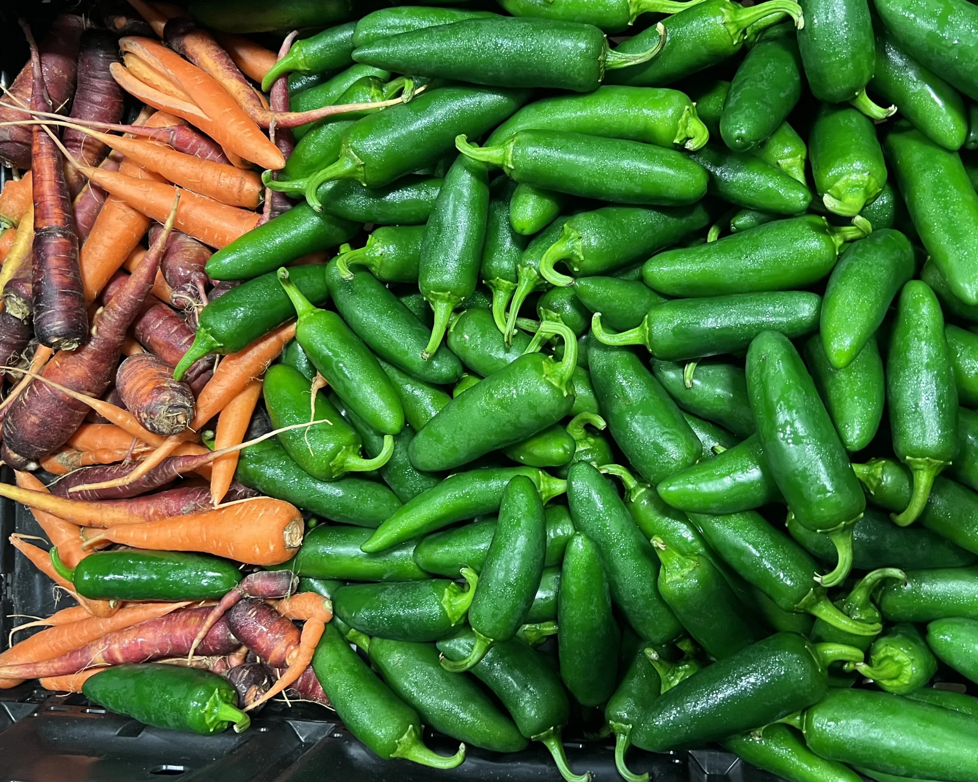 A pile of fresh green jalapeño peppers next to a bunch of orange and purple carrots in a grocery store display.