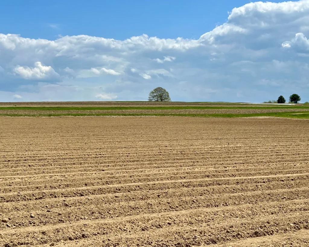 A plowed field under a partly cloudy blue sky, with green grass and a few distant trees on the horizon.