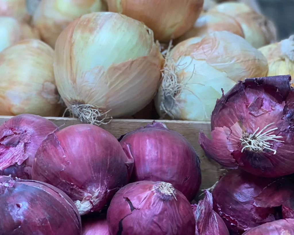 Close-up of a pile of red onions in the foreground and yellow onions in the background, displayed at a market or store.