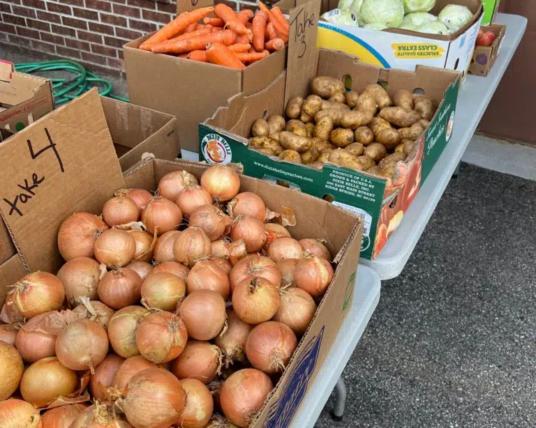 Boxes of onions, potatoes, carrots, and cabbage on a table outdoors, each box labeled with instructions for how many to take.