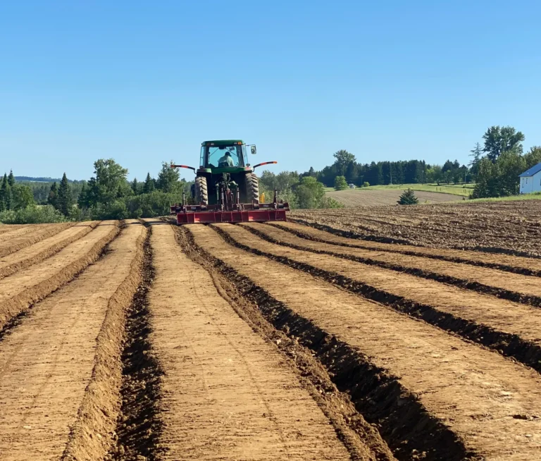 A tractor drives over freshly plowed rows in a large field under a clear blue sky, with trees in the background.