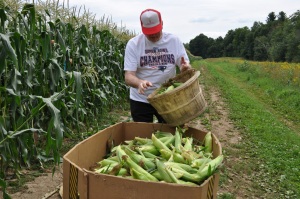 Harvest for Hope